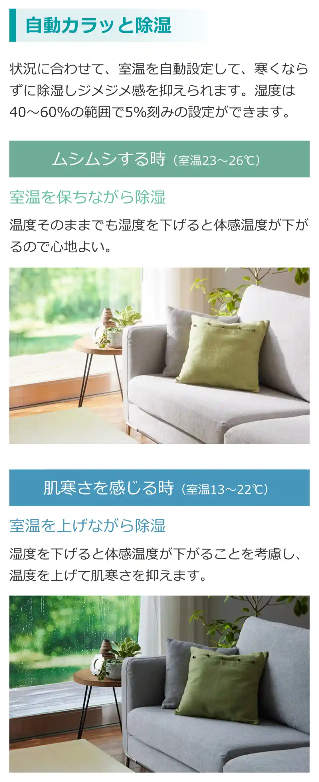 日立エアコンDシリーズの機能・手動カラッと除湿